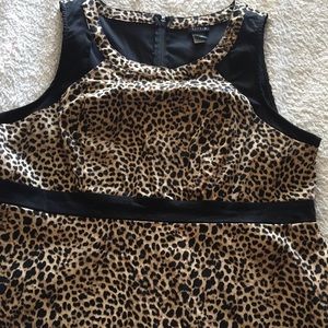 Torrid Leopard Print Peplum Blouse 3x